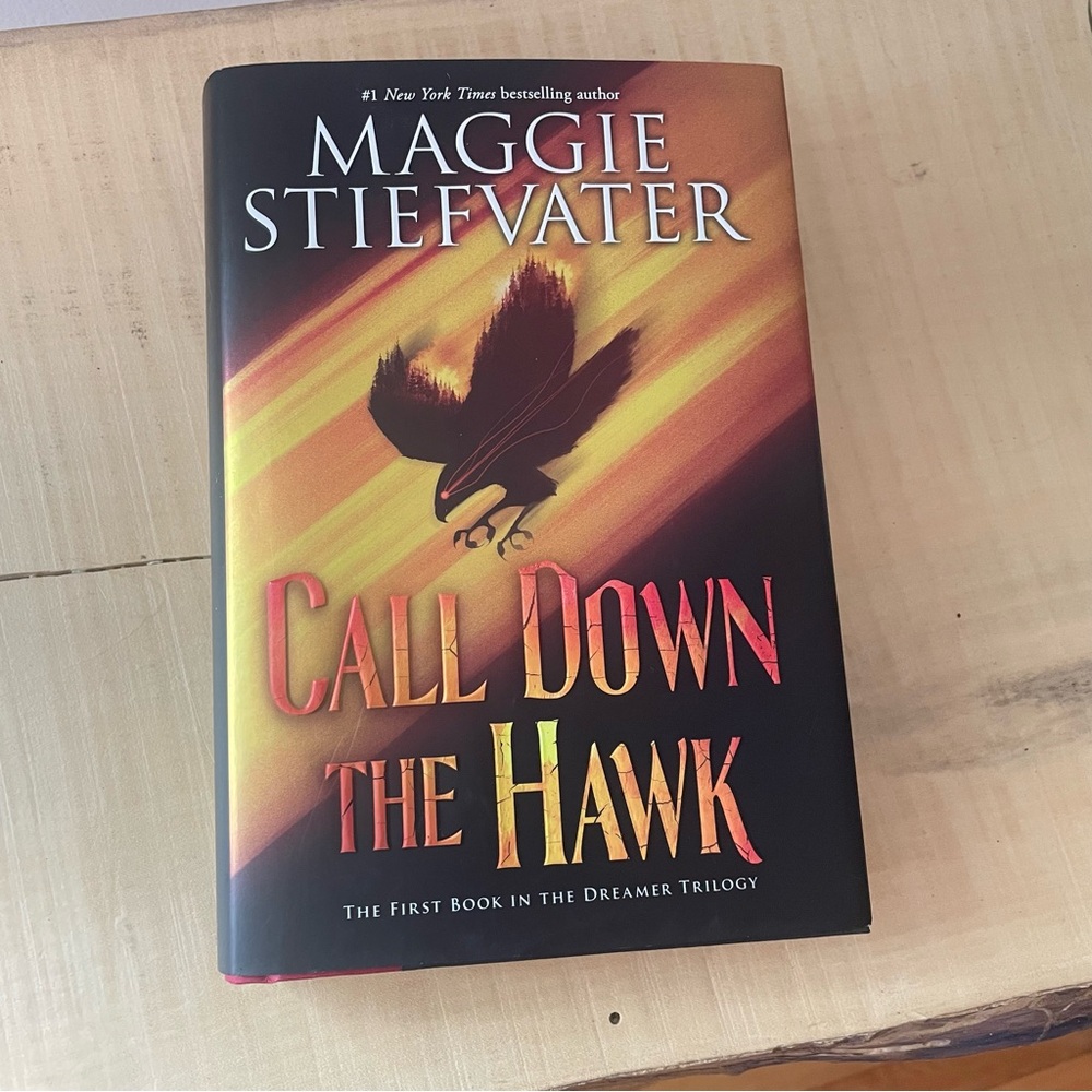 $10 SALE Call Down the Hawk Hardcover Teen Fiction Book Fantasy Adventure